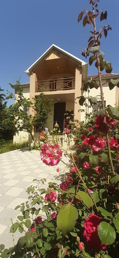 Gabala Sweet Home Экстерьер фото
